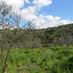 All'interno di un terreno nascondevano materiali rubati, denunciati a Belvì
