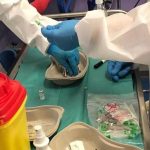 Ogliastra, la Asl lancia la campagna vaccinale contro il Fuoco di Sant'Antonio