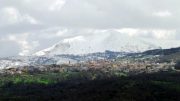 Fonni
