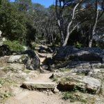 Strada chiusa sul monte Ortobene, via ai lavori per la nuova segnaletica