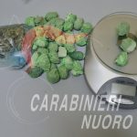 Dosi di droga nascoste in un albero, scatta il sequestro a Santa Maria Navarrese