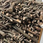 A Nuoro legna gratis per le famiglie meno fortunate