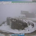 Bruncu spina neve