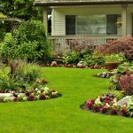 I servizi di giardinaggio più comuni per valorizzare il tuo spazio esterno