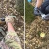 armi droga arresti orune