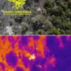 Le scintille individuate dalla forestale