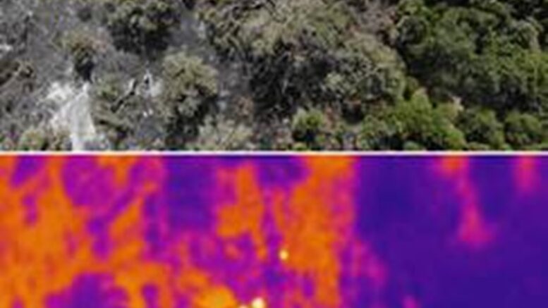 Le scintille individuate dalla forestale