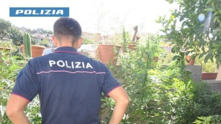 polizia nuoro marijuana sarule arresto