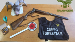 muflone forestale gairo fucile